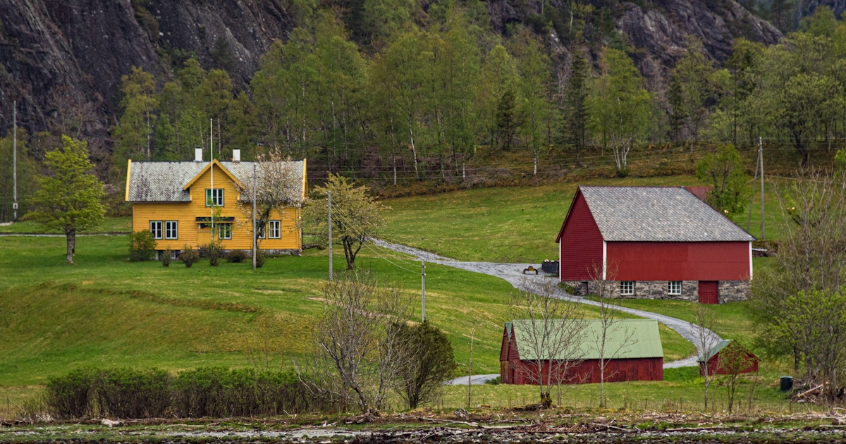 Mostraumen Fjord Tickets & Tours