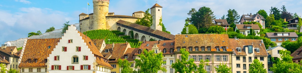 Things to do in Schaffhausen: tours and activities