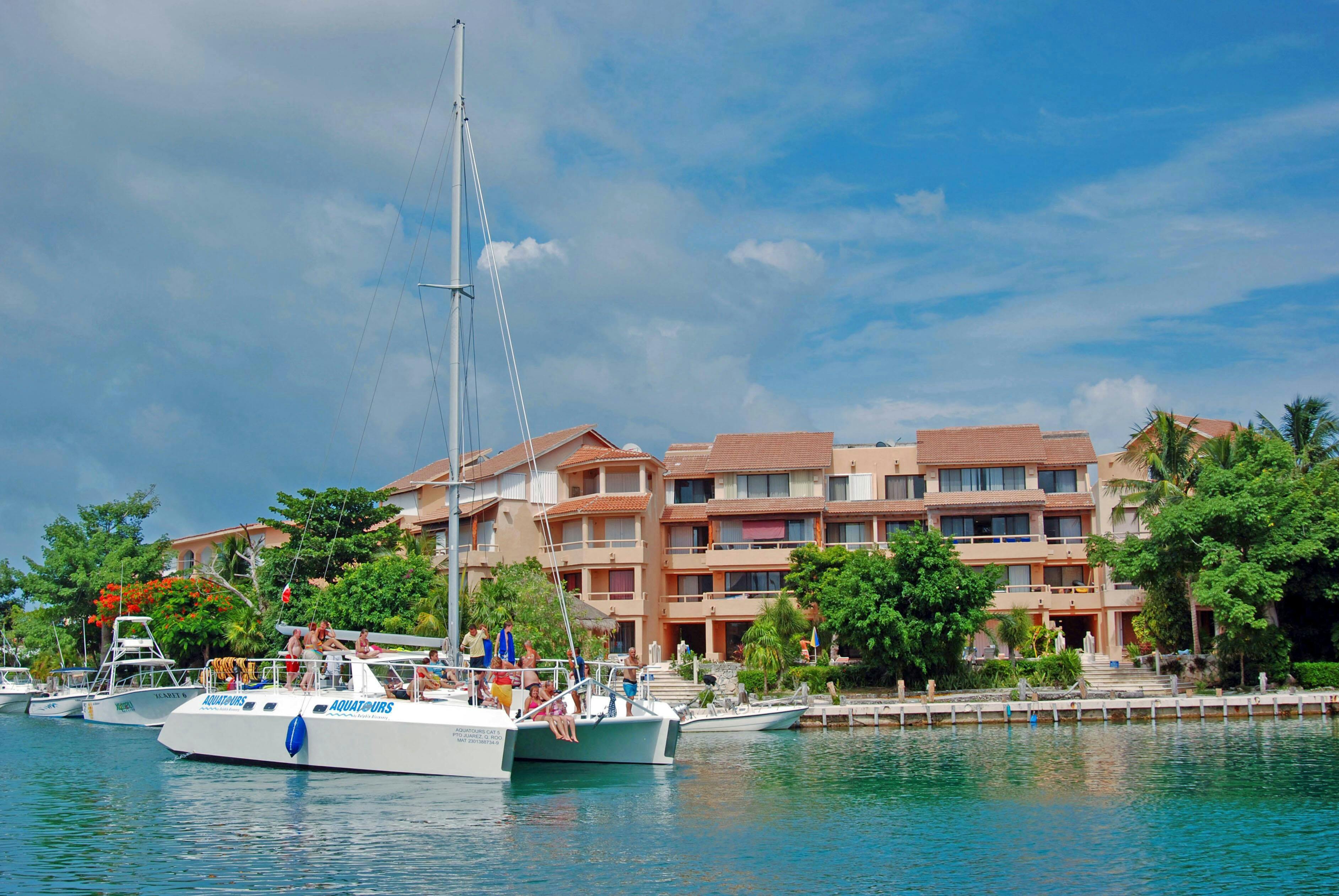 Experiencia de nado con manatíes en Puerto Aventuras