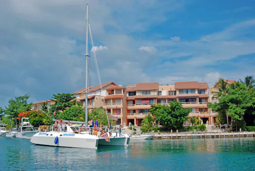 Dolphin Swim Encounter at Puerto Aventuras