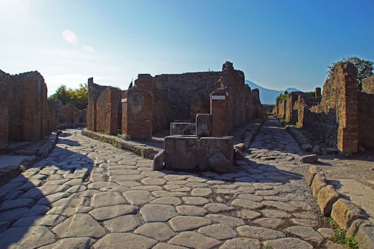 Pompeii or Herculaneum Private Guide Service Ticket Only