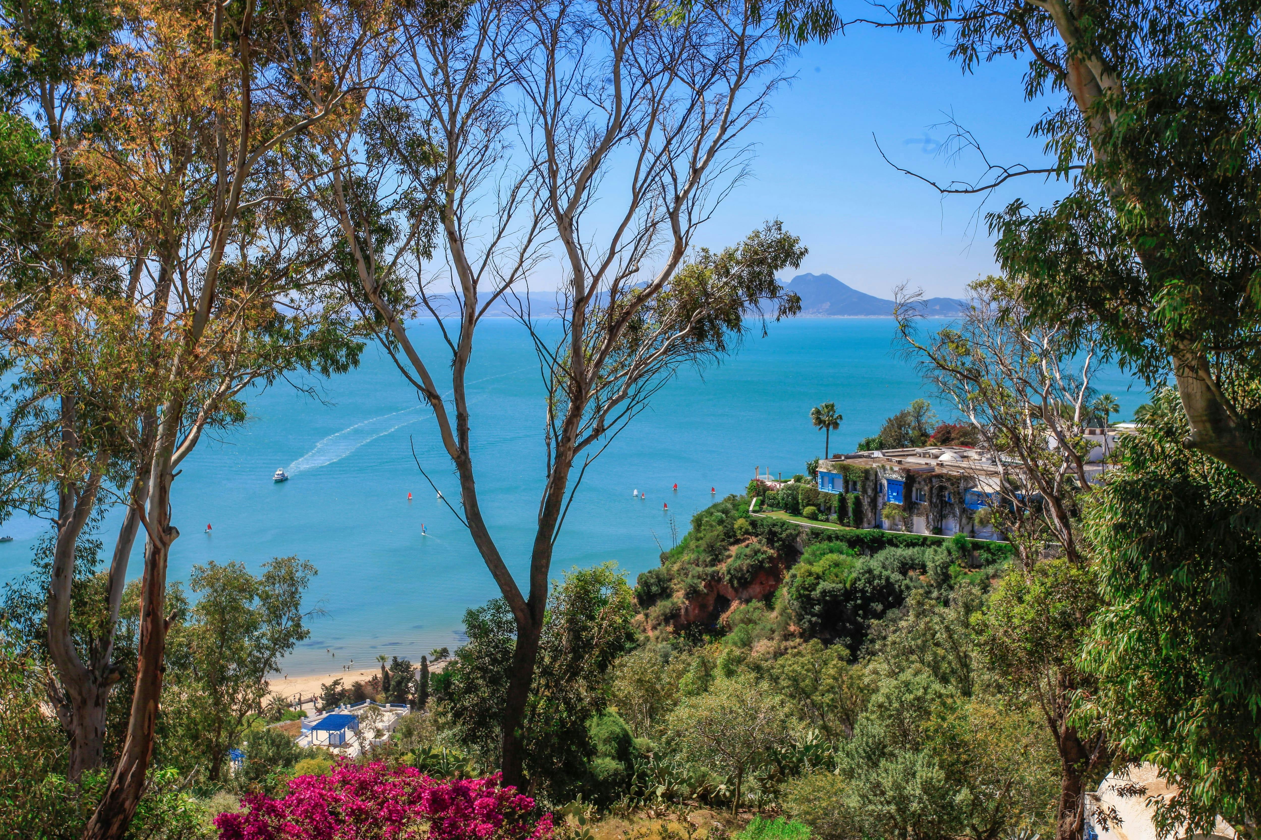 Carthage and Sidi Bou Said Tour