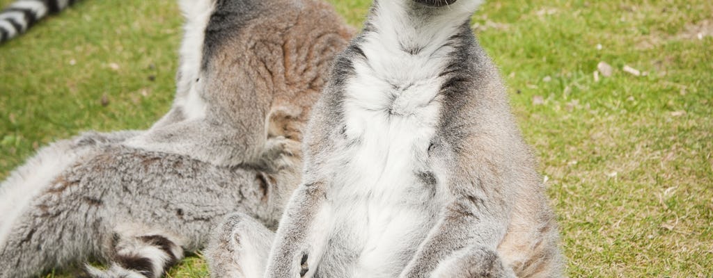 Zoológico ZSL Whipsnade