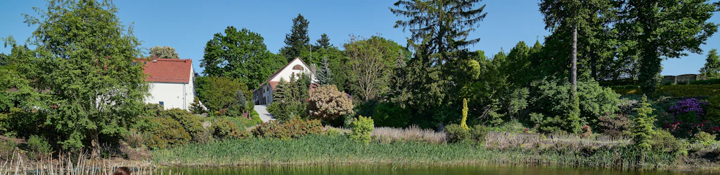 Torzym Things to do in Torzym: experiences and attractions | musement