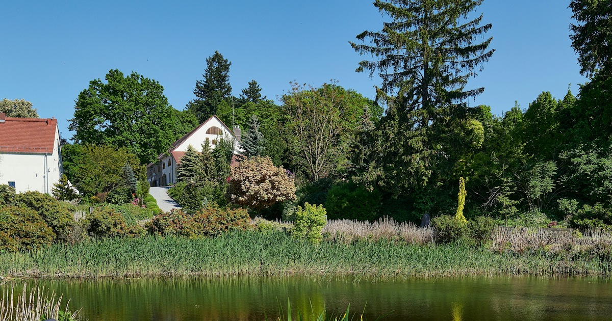 Torzym Things to do in Torzym: experiences and attractions | musement