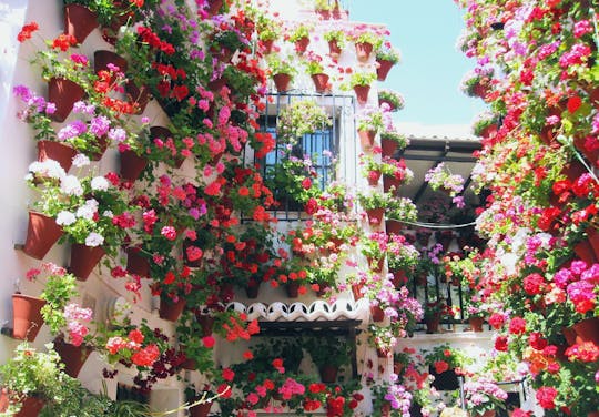 Cordoba au Mois de Mai