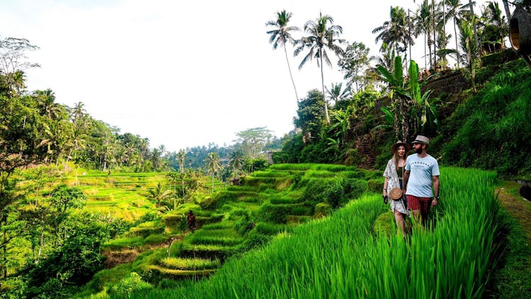 Ubud and Tanah Lot private day tour
