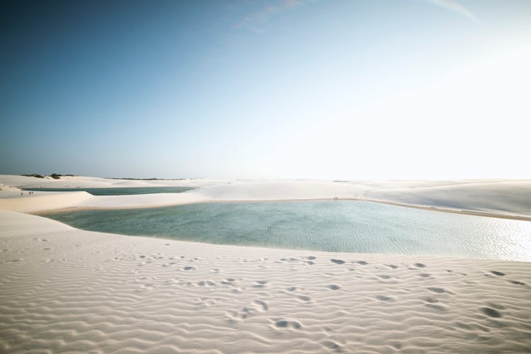 Desert safari, sand boarding, camel ride, and swim from Doha