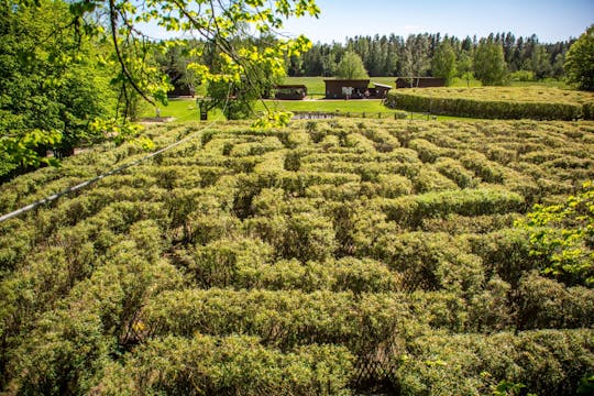 Tickets for the Labyrinth Theme Park