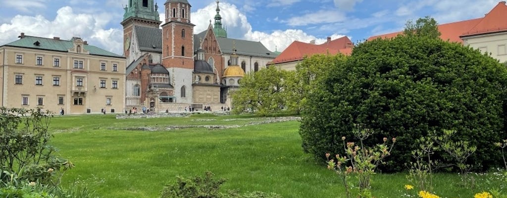 Recorrido a pie privado por el casco antiguo de Cracovia y la colina de Wawel