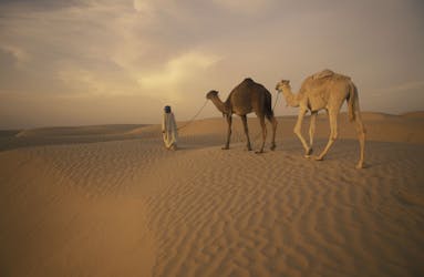 Excursion explorateur du Sahara au départ de Sousse, Monastir et Mahdia