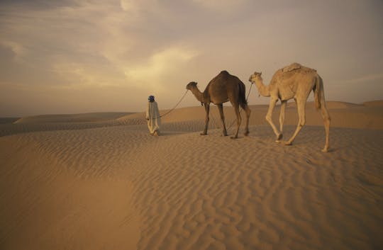 Sahara explorer excursion from Sousse, Monastir and Mahdia
