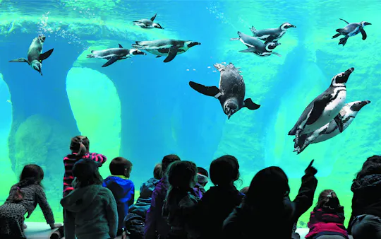 Wroclaw ZOO and Africarium entrance ticket