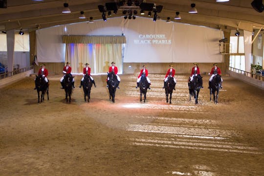 Somni Dancing Horses