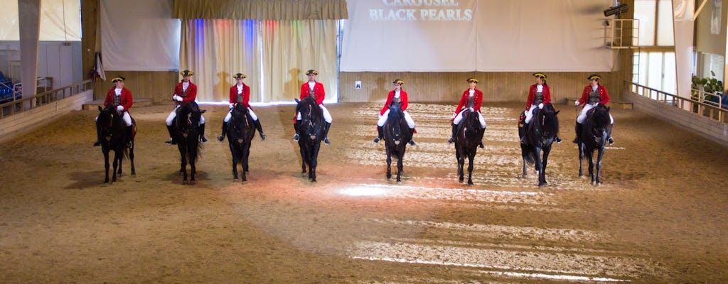 Somni – pokaz tańczących koni