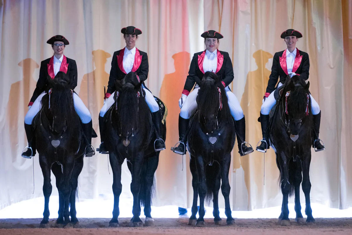 Somni Dancing Horses