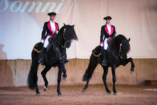 Somni Dancing Horses