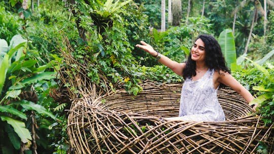 Privé hele dag best of Ubud-tour met Jungle Swing