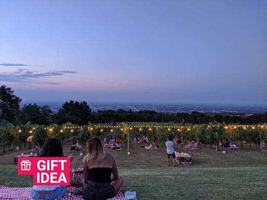 Tour del vino di mezza giornata per piccoli gruppi del villaggio di Dozza con degustazione