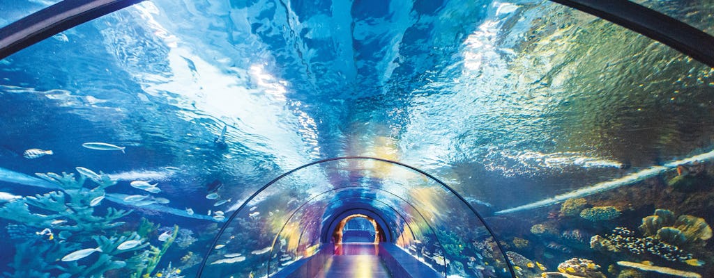 Antalya aquarium with shuttle