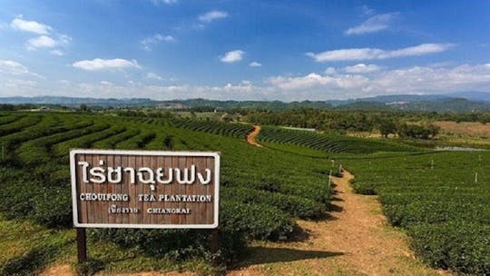 UNISCITI AL TOUR Tour di un giorno a Chiang Rai (primavera calda - Tempio bianco - Tempio blu - Huay plakang - Piantagione di tè Chuifong)