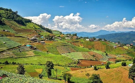 DOŁĄCZ DO WYCIECZKI Chiang Rai Jednodniowa wycieczka Pielęgnacja słoni - Tiger King Dom - Monjam Mountain