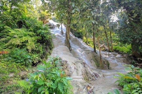 JOIN TOUR Soins des éléphants de Kanta - Cascade collante