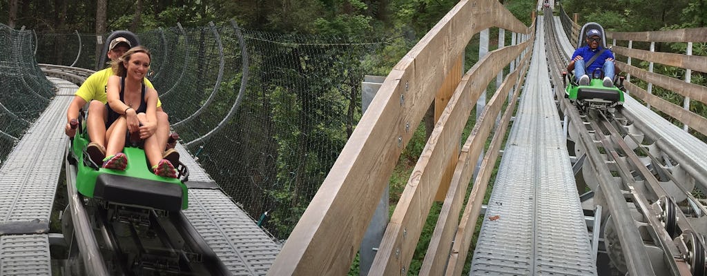 Moonshine Mountain Coaster Ride