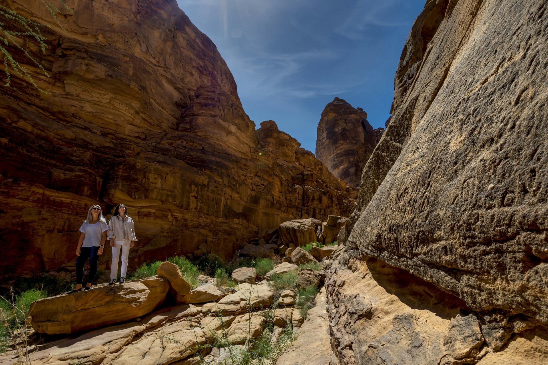 Excursão guiada de dia inteiro de Dissah a Wadi Qaraqir de Al Ula