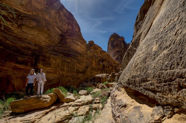 Full-day guided tour of Dissah to Wadi Qaraqir from Al Ula