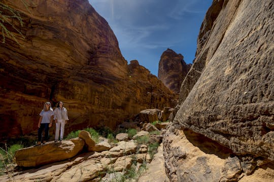 Full-day guided tour of Dissah to Wadi Qaraqir from Al Ula