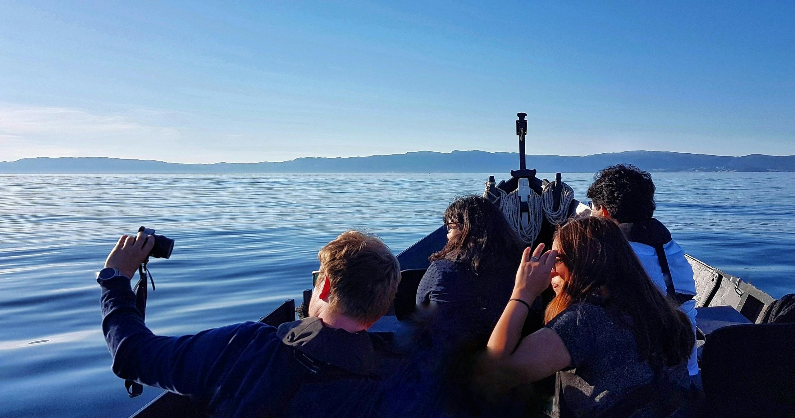 Excursion privée en bateau touristique dans le Trondheimsfjord