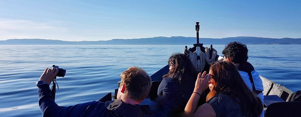 Excursão de barco turística privada ao Trondheimsfjord