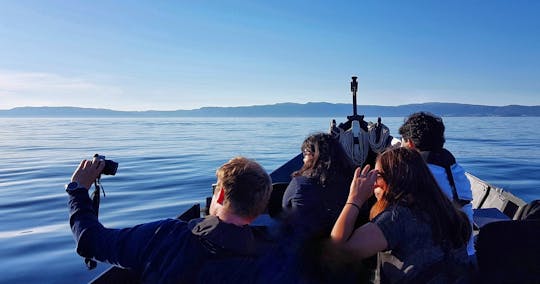 Excursion privée en bateau touristique dans le Trondheimsfjord
