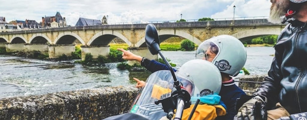 Tour de sidecar em um dia inteiro pelo Vale do Loire saindo de Amboise