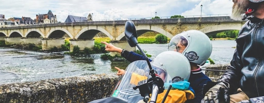 Visite d'une journée de la vallée de la Loire en side-car au départ d'Amboise