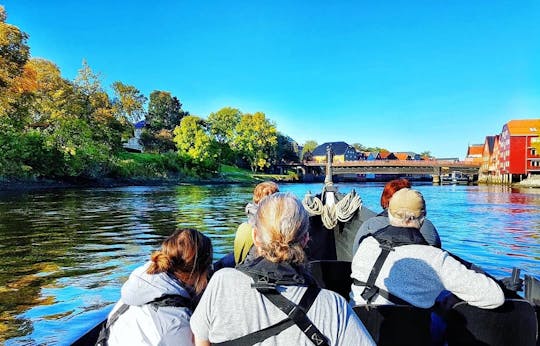Private sightseeing boat tour on the river and fjord in Trondheim