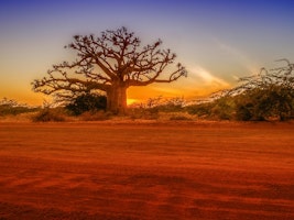 Pointe Sarène, Senegal