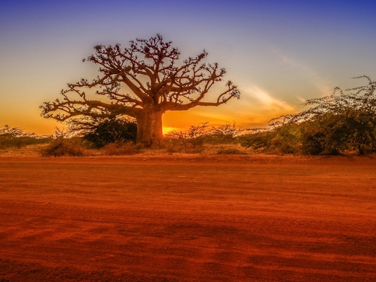 Pointe Sarène, Senegal