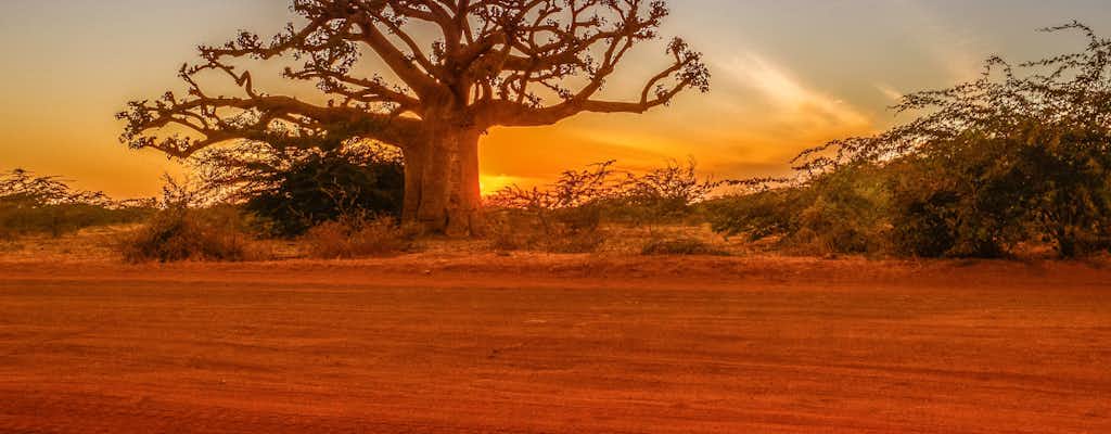 Att göra i Pointe Sarène