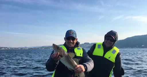 fareharbor-trondheimbyboat|361793-715716