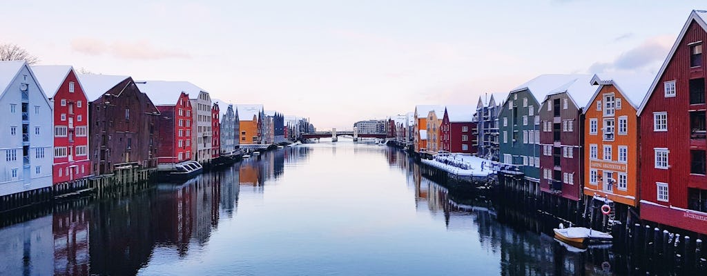 Excursion magique en bateau privé en hiver à Trondheim