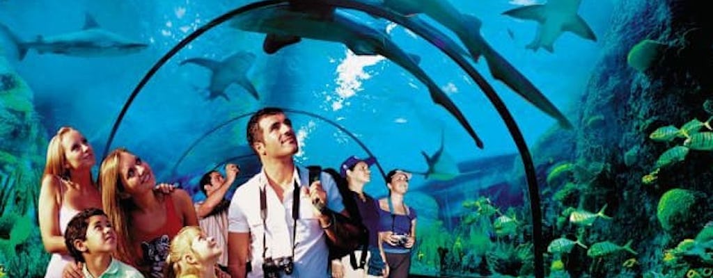 Exclusive Loro Parque Transfer