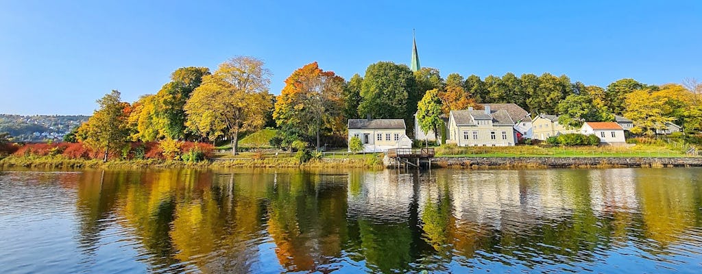 Autumn colors private tour on the river Nidelva or Trondheimsfjord