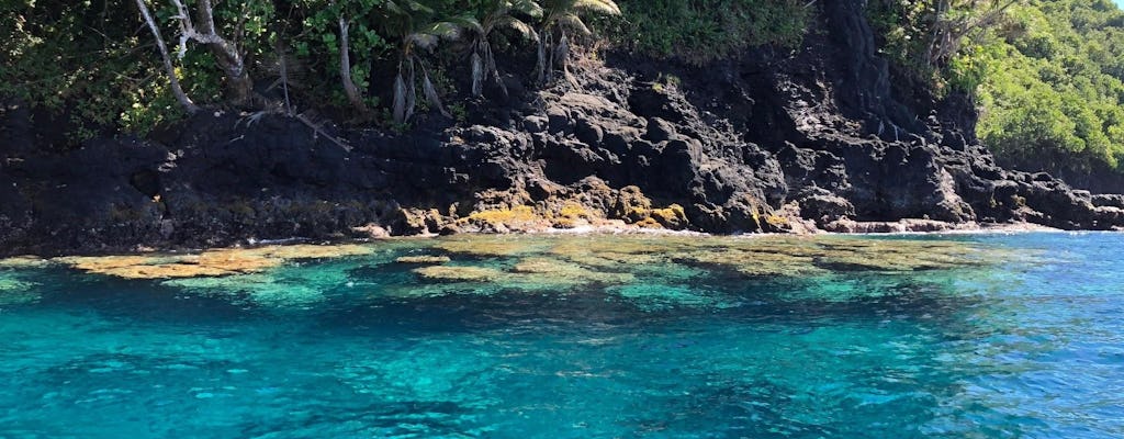 Passeio de barco turístico privado pela península do Taiti