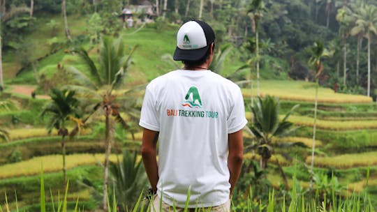 Dagtour met hoogtepunten in Ubud