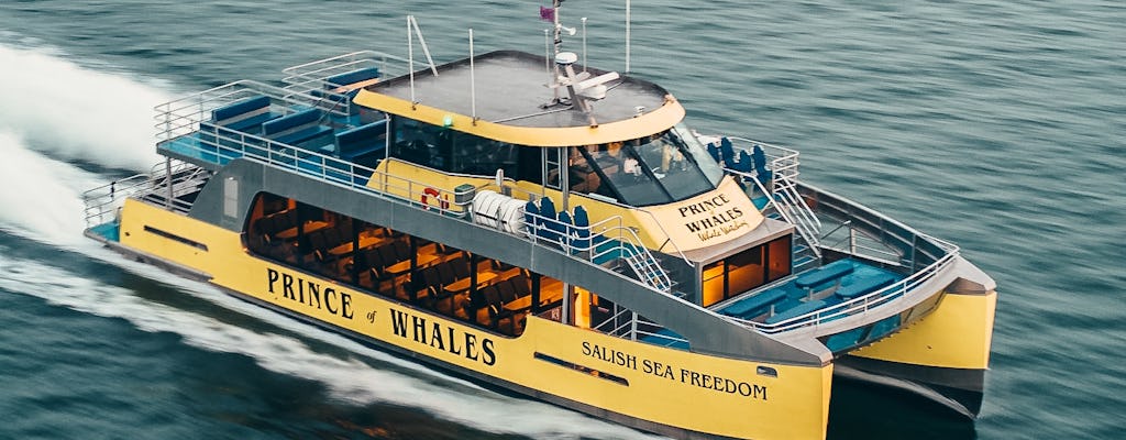 Half-day whale watching from Vancouver