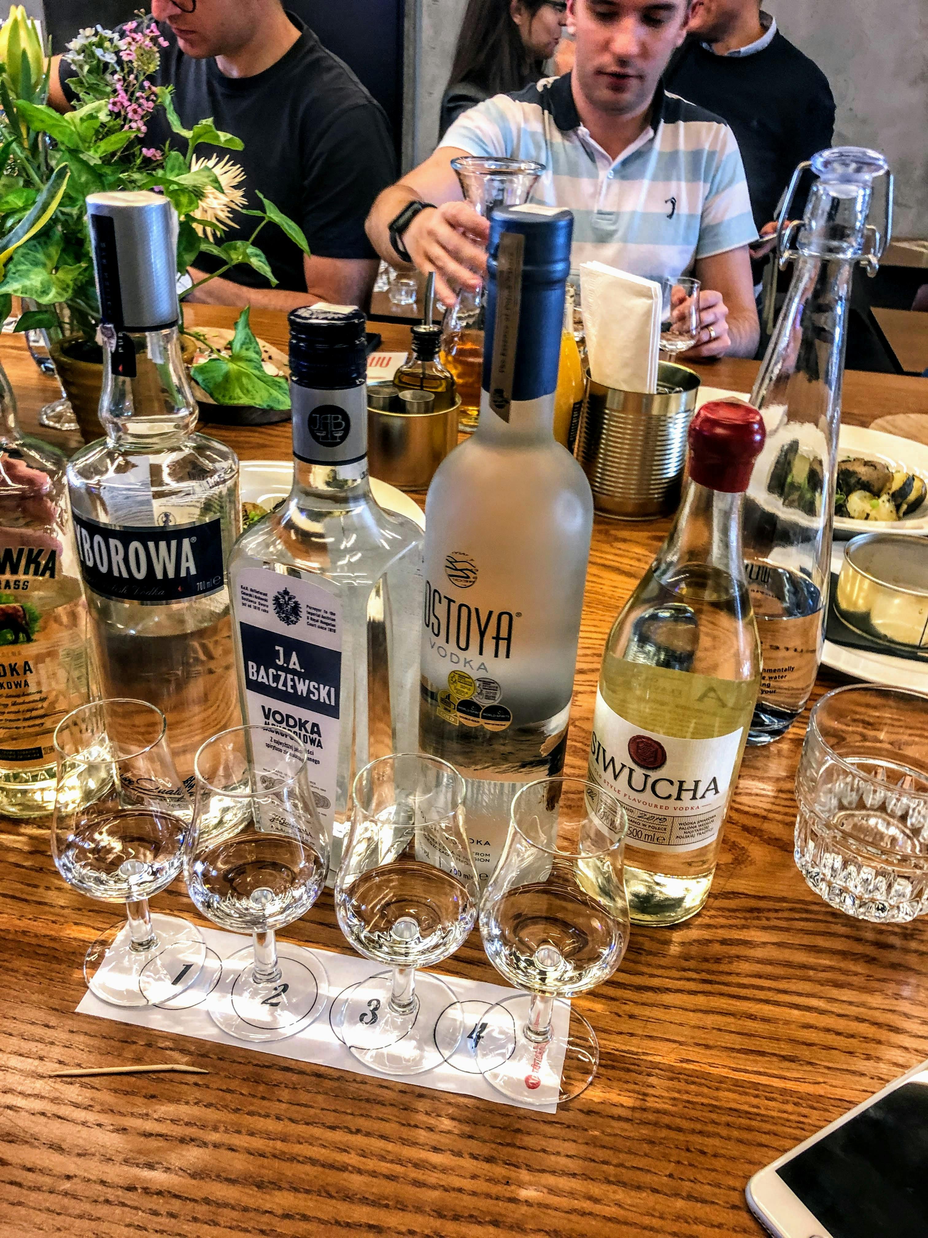Esperienza di degustazione di vodka a Varsavia
