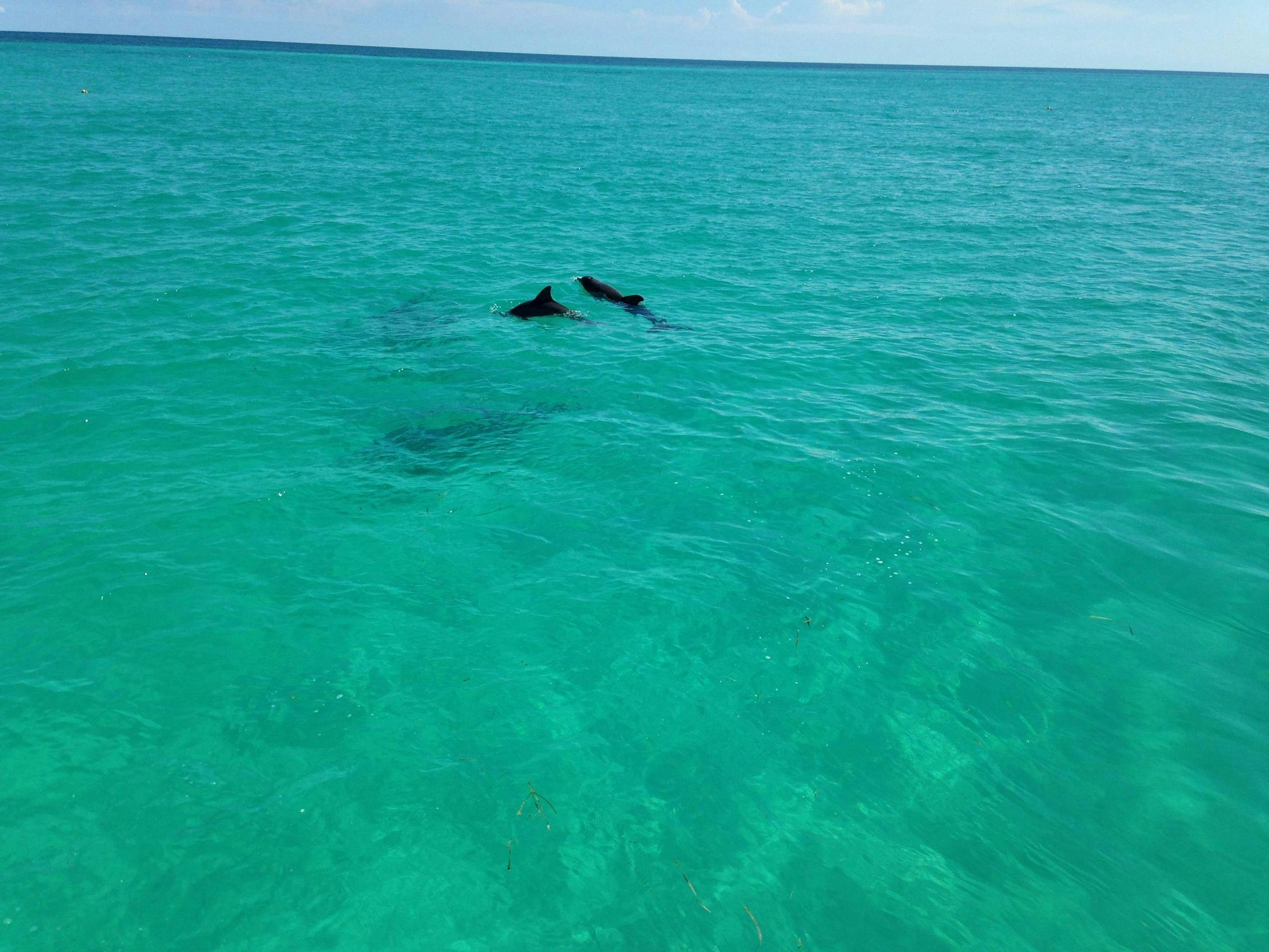 fareharbor-floridayskeywest|37591-62672