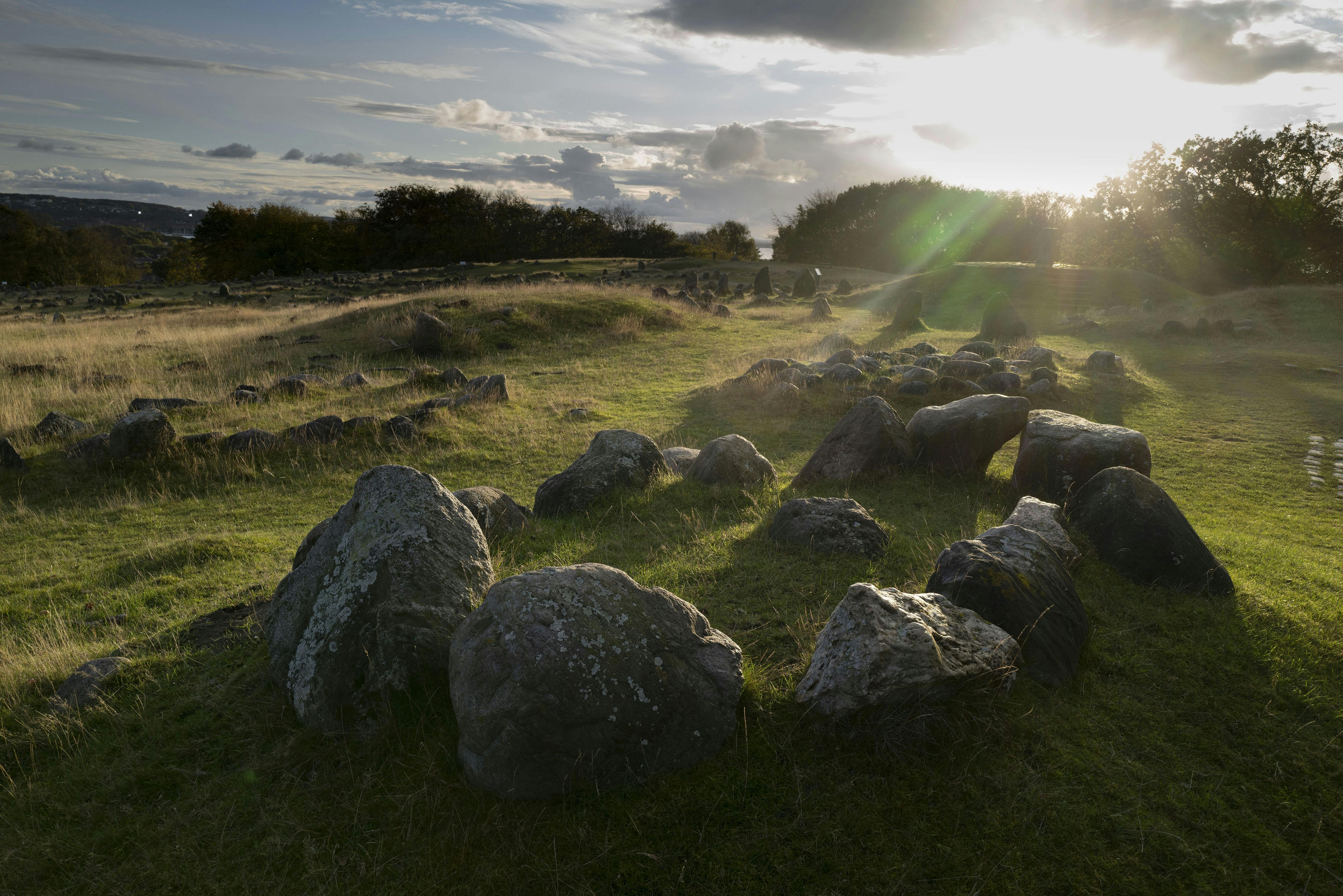 The Viking Museum entrance ticket Lindholm Høje